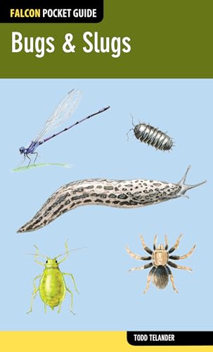 Bugs & Slugs (Falcon Pocket Guides)