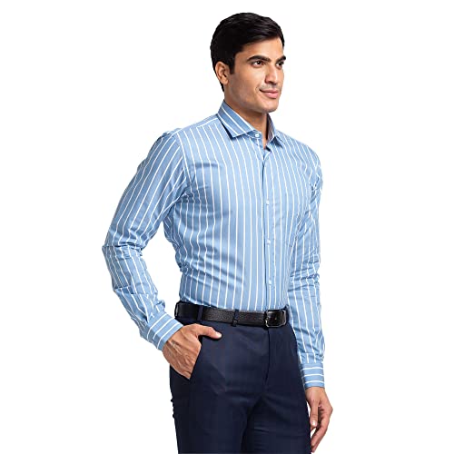 Image of Park Avenue Men's Pure Cotton Stripe Pattern Slim Fit Ainsley Collar Full Sleeve Formal Shirt
