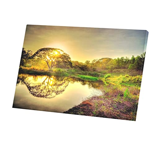 Coucher de Soleil Sous les Arbres Tableau Toile Décoration Zen