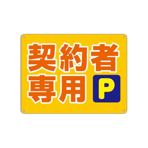 ԏ u_ҐpPv W Ԃ炳 Ӄv[g Ŕ