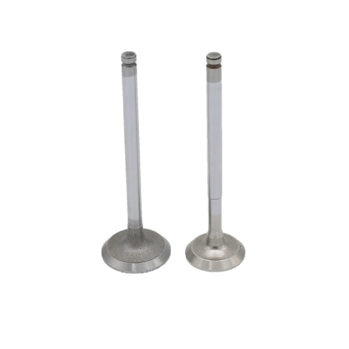 CONJUNTO DE VÁLVULAS DE MOTOR (In+Ex): Compatible con LOMBARDINI / 15LD 400 / 15LD 440-3768