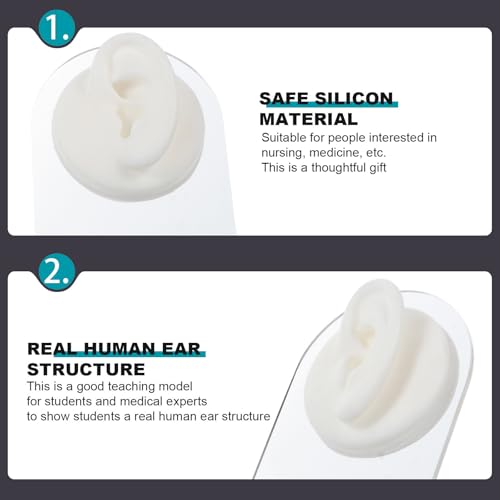 Modèles d'oreille pour formation et simulation en silicone - 7