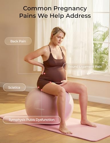 Image of Momcozy BirthEase Pregnancy Ball Set, Birthing Ball with App Full-Journey Courses, BPA-Free PVC & Anti Burst Exercise Yoga Ball for Maternity, Labor, Physio, Recovery