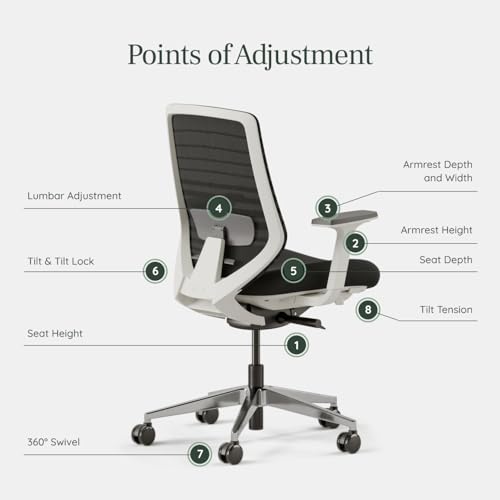 Image of Branch Ergonomic Chair - A Versatile Desk Chair with Adjustable Lumbar Support, Breathable Mesh Backrest, and Smooth Wheels - Experience Optimal Comfort and Support - Black | Breathable Mesh Backrest and Smooth Wheels, Experience Optimal Comfort and Support, Black