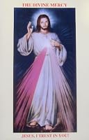 The Divine Mercy Jesus I Trust in You 2980430218 Book Cover