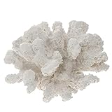 Coral de acuario de resina: la decoración decorativa de coral del paisaje hace que su acuario se vea vívido, agregando una atmósfera natural y animada, planta artificial de resina