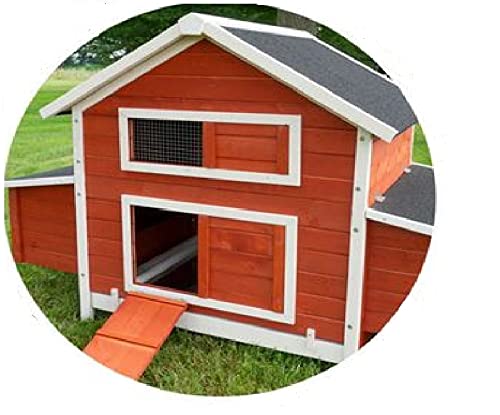 Poulailler en Bois pour Jardin extérieure Cage Canard avec Nichoir Modèle: 158 Betty Rouge avec ou sans Extension (sans Extension)