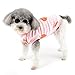 Zunea Fuzzy Dog Vest Sweater Coats for Small Dogs Warm Fleece Winter Jackets with Leash Ring Cute Strawberry Pullover Puppy Clothes Soft Cold Weather Sleeveless Pet Girl Boy Chihuahua Apparel Pink M