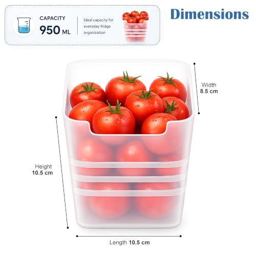 Image of JD FRESH Pack of 6 Fridge Storage Containers for Kitchen /Space Saving and Multiporpose Storage Organaizer for Dry Fruits, Vegetables, Grains, Kitchen Accessories Items for Home(Transparent)