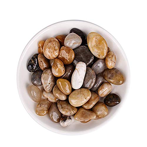 Hisredsun 1 kg Decorative Stones River Pebbles for Flowerpot, Landscaping, Vase Fillers, Garden and Aquarium Decoration (Multi)