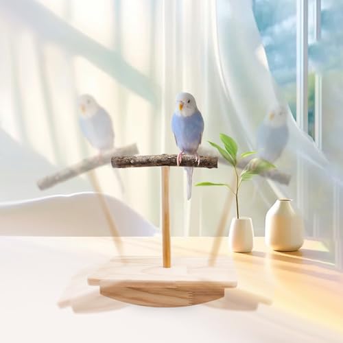 Image of Bird Perch Rocking Toy, Natural Wood Parrot Tumbler Toy, Bird Perch Stand & Chewing Toys, Parakeet Paw Grinding Stick, Cage Accessories for Small Birds Parakeets Cockatiels Budgies Finches Love Birds