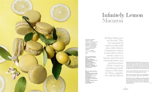 Pierre Hermé Macaron: The Ultimate Recipes from the Master Pâtissier