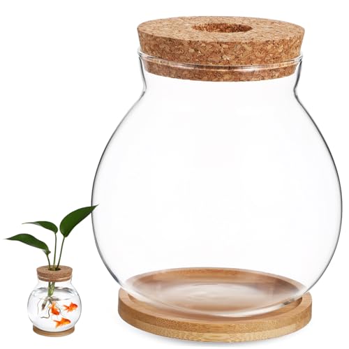 DRESSOOS デスクトップ水耕栽培魚ボウルガラステラリウム、ベタ魚用、竹ベース付き、家庭オフィスの装飾に最適な環境に優しい小型水槽