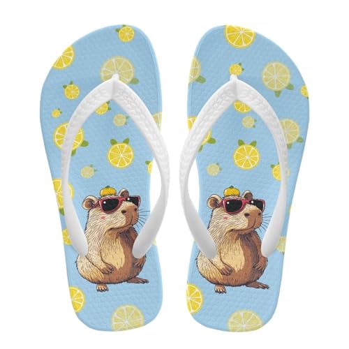Kids Flip Flops Slip On Cartoon Animal Beach Water Sandals for Boys Girls Cute Summer Shower Shoes