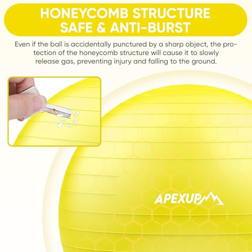 Image of APEXUP Yoga Ball, 660 lbs Anti-Burst Exercise Ball with Pump, 5 Sizes