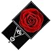 Preserved Real Rose with Love Heart I Love You Necklace 100 Languages Gift Set Handmade Flesh Flower Rose Gift Romantic Gifts for Her On Valentine's Day Anniversary Wedding (S-silverC:Red Rose0101)