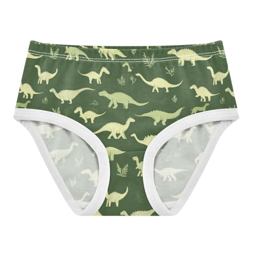 Wusikd Green Dinosaurs Girls' Underwear Cotton Silhouettes Girls Briefs Soft Toddler Underwear 2T