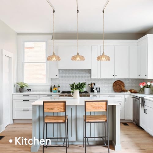 Image of Shenmoyl Plug in Pendant Light Hanging Light Fixtures with Plugin Cord On /Off Switch,Amber Scindapsus Glass Lampshade Brass Pendant Light