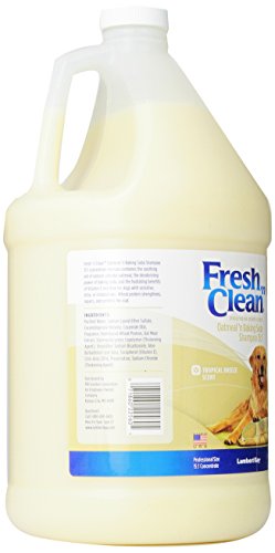Petag Fresh 'N Clean Oatmeal 'N Baking Soda Dog Shampoo - Tropical Fresh Scent - Strengthens, Repairs, & Protects Your Dog's Coat - 18 Fl Oz #TOP1