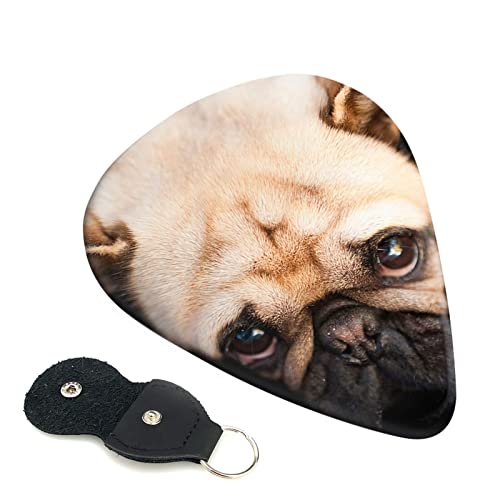 M^[sbN 6Zbg 0.46mm 0.71mm 0.96mm GLM^[ x[XpsbN EN M^[ ABSf GNgbN AR[XeBbN y S gCAO sbNi 킢 pO j