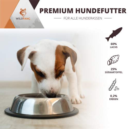 Wildfang-Dry-Dog-Food-6-kg-I-Grain-Free-Dog-Food-Salmon-with-Sweet-Potato-Vegetables-I-Junior-Puppy-Dry-Food-without-Grain-I-Dry-Food-for-Dogs-without-Artificial-Additives