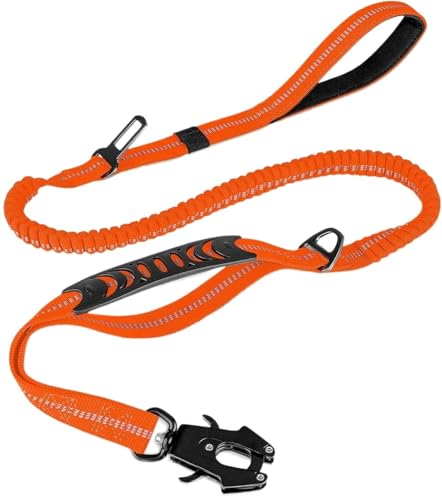 ϋv̍˃oW[p[V - ^pJ[V[gxgAȂ^NeBJ[V(Orange)