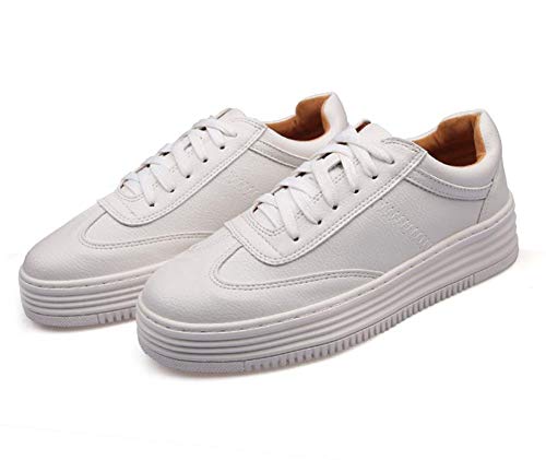 (jJ) fB[X V[Y ؍ Xj[J[  tH ~  n  ₷ jOV[Y EHLOV[Y XgbvzCgbs23.5