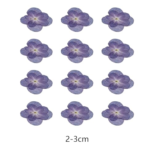 Nishiyuenyi 12 Stück Hortensien Trockenblumen, Getrocknete Hortensienblüten, Echte Gepresste Trockenblumen für Schönheitsfotografie, Handgemachte Seife, DIY Handw