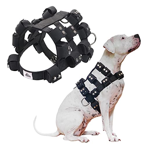 Walktime Dog Weighted Vest