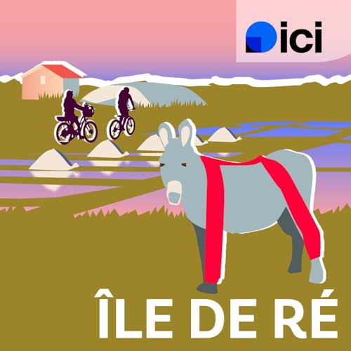 Sur l&rsquo;&icirc;le de R&eacute; &agrave; v&eacute;lo : nos conseils pour un week-end qui ne manque pas de sel !
