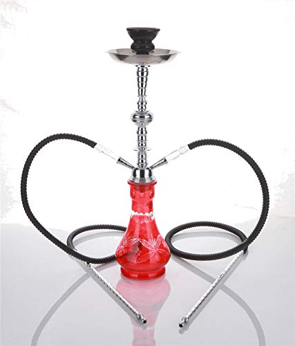 2 Manguera 54 cm Hookah Shisha Narguile agua tubo vidrio fumar venta H-1384