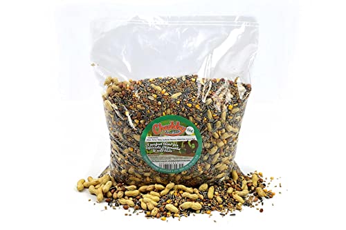 Chubby Mealworms Natural Seed & Nut Mix Forest Feast Squirrel Food (5kg) Natural Seed & Nut Mix Food for Chipmunks & Squirrels Feed Includes Sunflower Peanuts Naked Oats Nuts in Shells