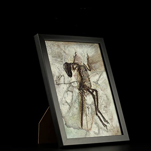 Vitae eBmTEX `FAO ~Nvg A[PIveNX VmTEveNX  i  ʐ^ Ǌ| tHgt[ fXNgbv IuWF A PVC v[g v~A IWi i u RN