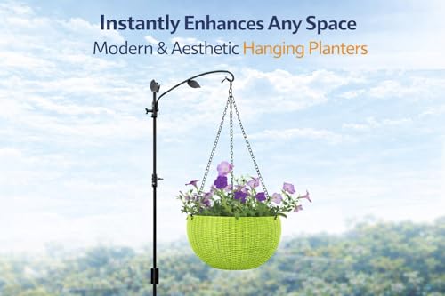 Image of Plastic Hanging Flower Pot and Flower Pot with Chain Plant Container Set, 6-inch, 6 Piece, Multicolour