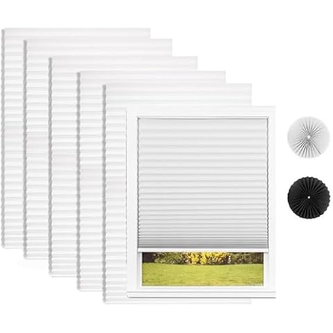 Changshade 6-Pack Light Filtering Pleated Paper Shades Cover