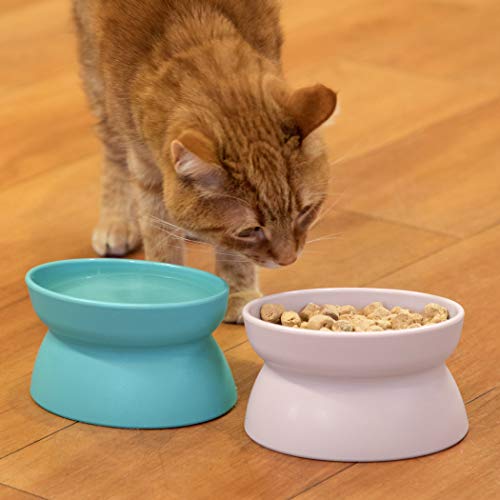 Raised Cat Food Bowl