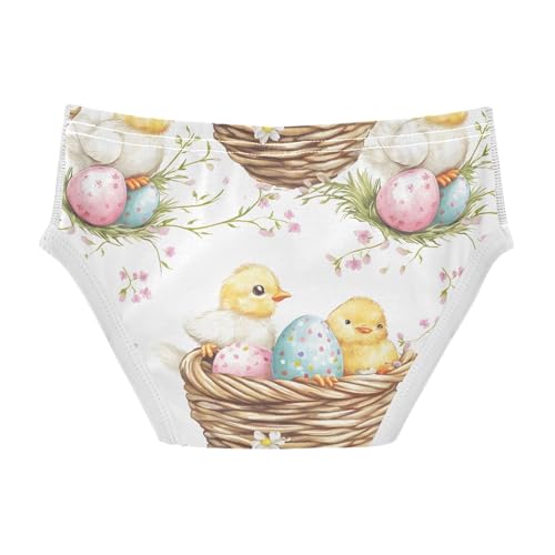 Easter Chicks Egg Toddler Boy's Underwear 2T 202b90332