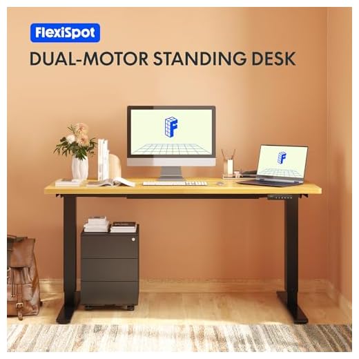 FlexiSpot Höhenverstellbarer Schreibtisch mit 2 Motoren