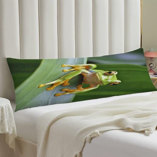 Housse de coussin de corps imprimé grenouille d'arbre fermeture éclair - 5