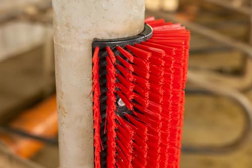 Kerbl Kratzbürste flexibel, Viehbürste, Rinderbürste, rot, 5,5cm Polyamidbürsten, 30x9,5x43cm, Rinder, Kälber, Pferde, Fellpflege, inkl. Befestigung