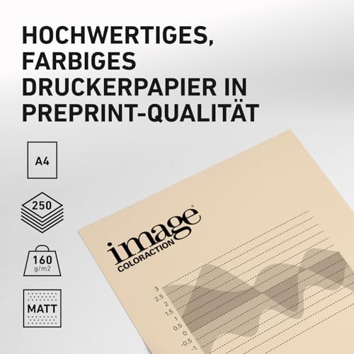 Image Coloraction Dune - farbiges Kopierpapier - DIN A4, 210 x 297 mm, 160 g/m² - buntes, holzfreies Druckerpapier für Kopierer - 250 Blatt - Creme