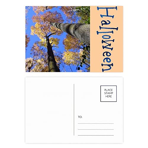 Cartes postales d'Halloween et feuilles rouges : finies les invitations banales