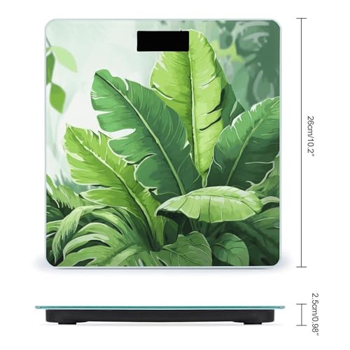 Báscula Digital de Baño VstaDank con Pantalla LCD miniatura 2