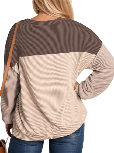 DOLNINE Plus-Size-Tops-for-Women Fall Casual Long Sleeve Shirts Oversized Color Block Crewneck Sweatshirts Ribbed Knit Tunic2