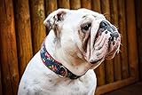  Hundehalsband, Blumen, Kunstleder, Rosen, Punkte, blau, Jeans, rot, Hund, Halsband, Hochzeit, Welpe, Hunde, Haustier, trendy, geblümt