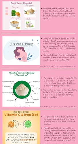 Image of Cevvi Lactation Powder for Breastfeeding Mothers | Natural Lactation Support with Sprouted Grains, Greens & Fruits | No Added Refined Sugar | Visible result in 2 days | Galactagogue | 300G
