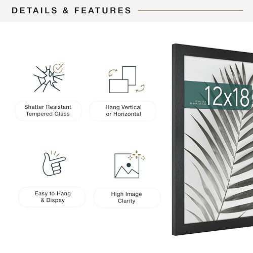 MCS Studio Gallery 12x18 Picture Frame Black Woodgrain, Rectangle Photo Frame for Photos, Posters & Art Prints (2-Pack)