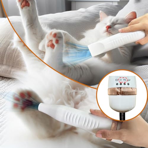 Pet-Grooming-Hair-Blow-Dryer-300-Watts-for-Small-and-Medium-Dogs-and-Cats-Pet-Hair-Dryer-for-Dogs-Grooming-at-Home-Pet-Hair-Removal-Comb-plus-Blue-Silicone-Pet-Wash-Massage-Brush - Cucciolini Doodles   Pet-Grooming-Hair-Blow-Dryer-300-Watts-for-Small-and-Medium-Dogs-and-Cats-Pet-Hair-Dryer-for-Dogs-Grooming-at-Home-Pet-Hair-Removal-Comb-plus-Blue-Silicone-Pet-Wash-Massage-Brush