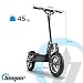 BEEPER FX1000-S - Patinete eléctrico para Adulto, 1000 W, 36 V, Color...