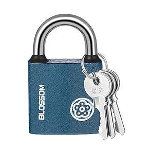 RosewineC Blossom 38MM Blue Padlock